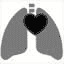 Heart & lung care
